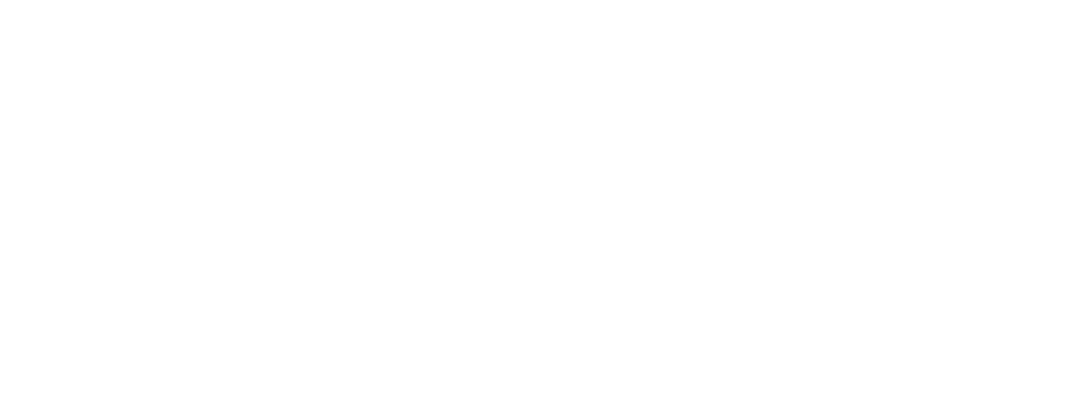 IVAO